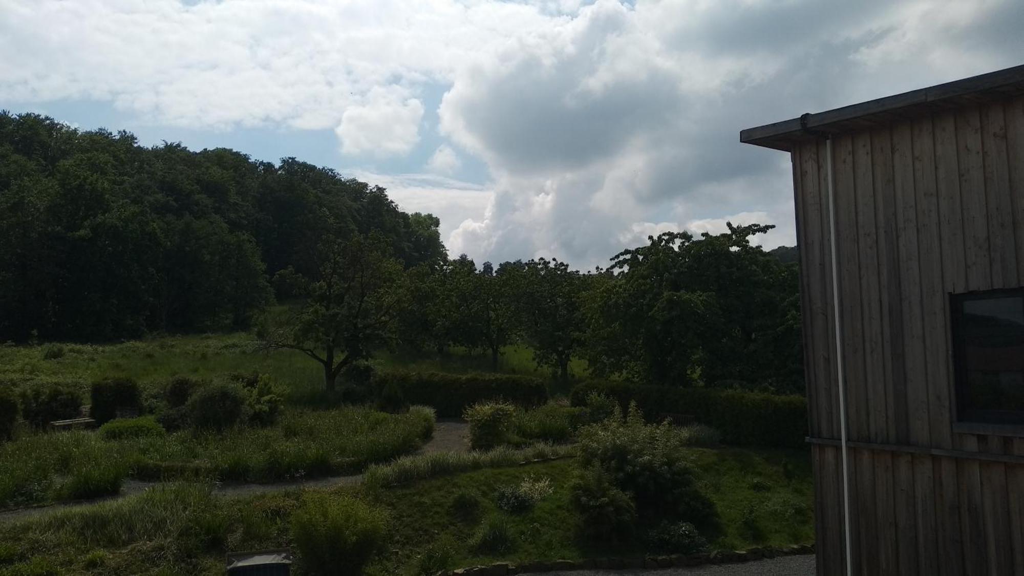 Sonnige Ferienwohnung Am Sternberg Extertal Exteriör bild